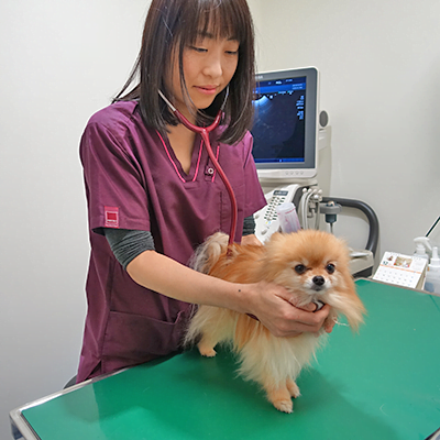 呼吸器科 - 犬猫の呼吸器の病気・症状例・治療法 - ベックジャパン動物 